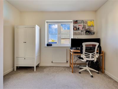 Picture 17